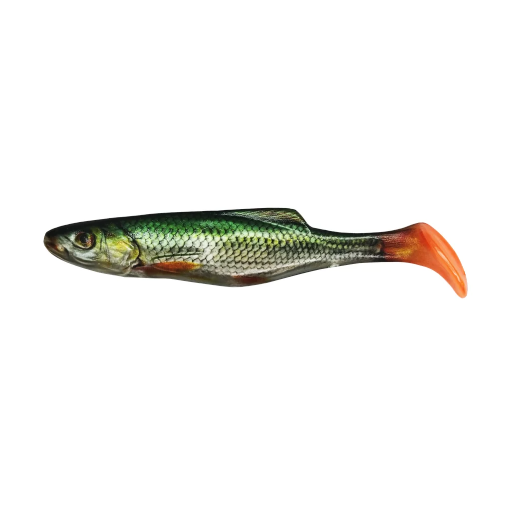 Redfin Roach