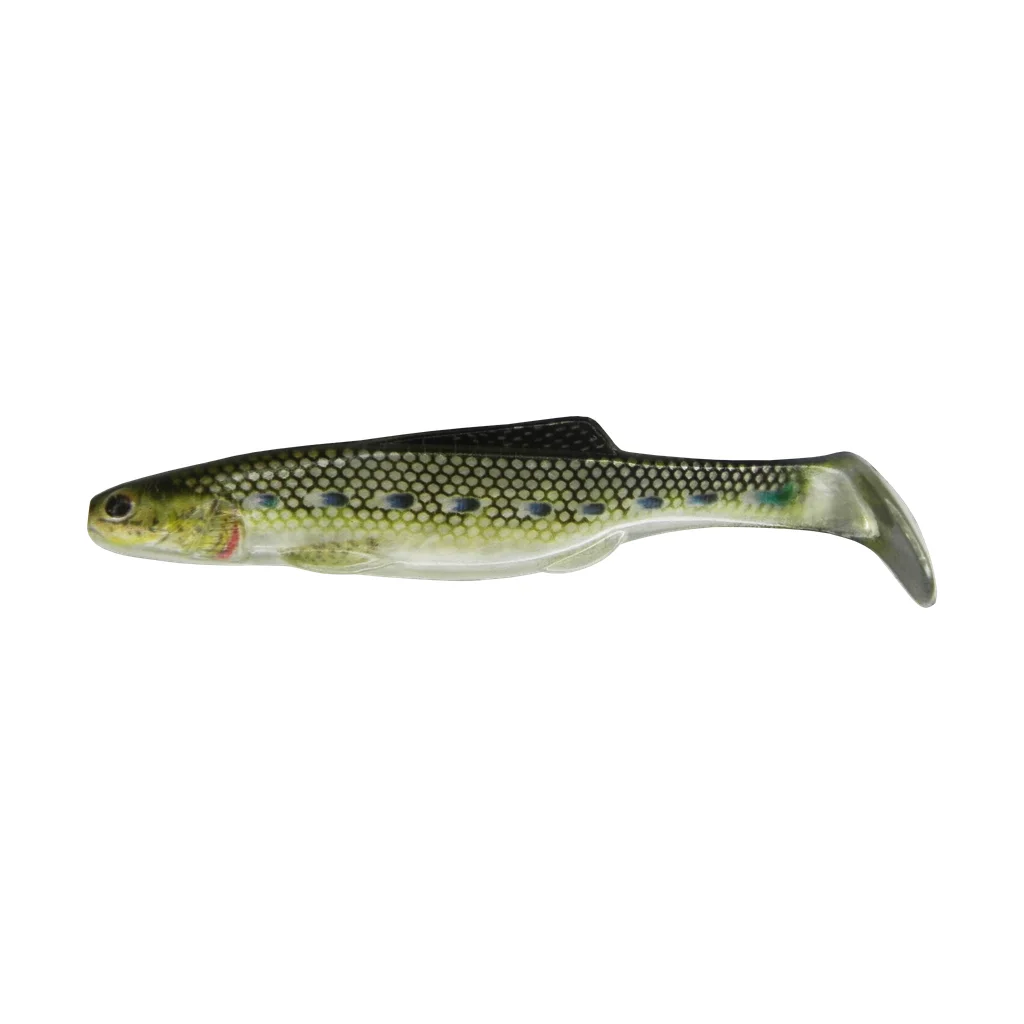Silver Minnow