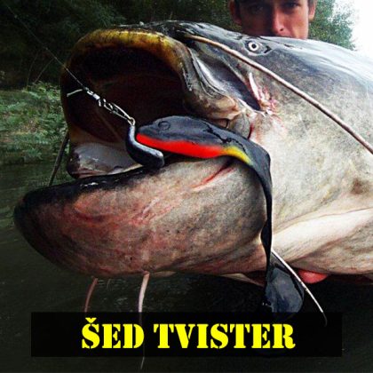 Shad tail