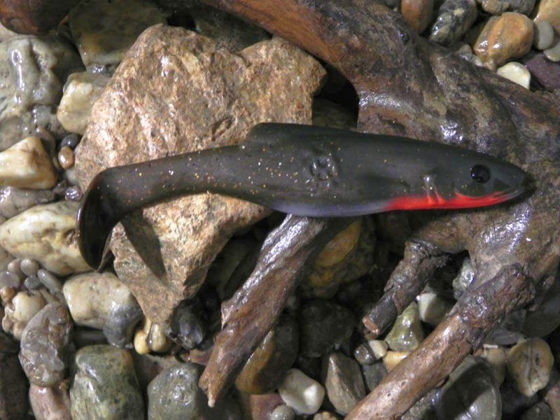 Shad 18 BR (1 pcs.)