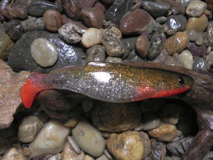 Shad 18 TB (1 pcs.)