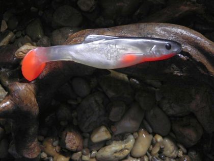 Shad 22 WB (1 pcs.)