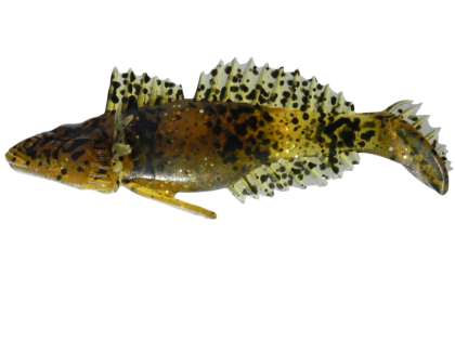 Bullhead 9 cm.