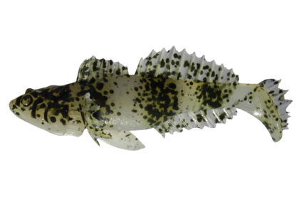 Bullhead 11 cm.