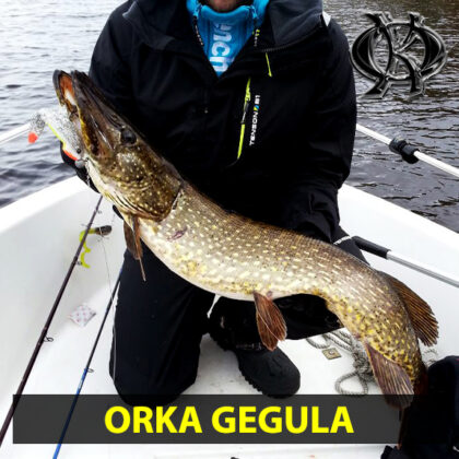 Gegule