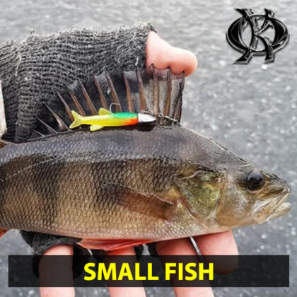 Small fish