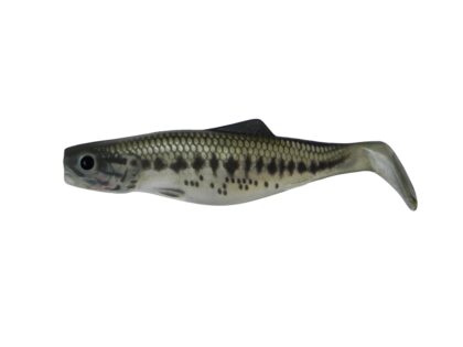 Shad 9 cm.