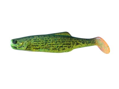 SHAD 10 BS (5 pcs.)