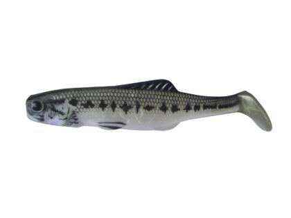 Shad 10 SMB (5 pcs.)