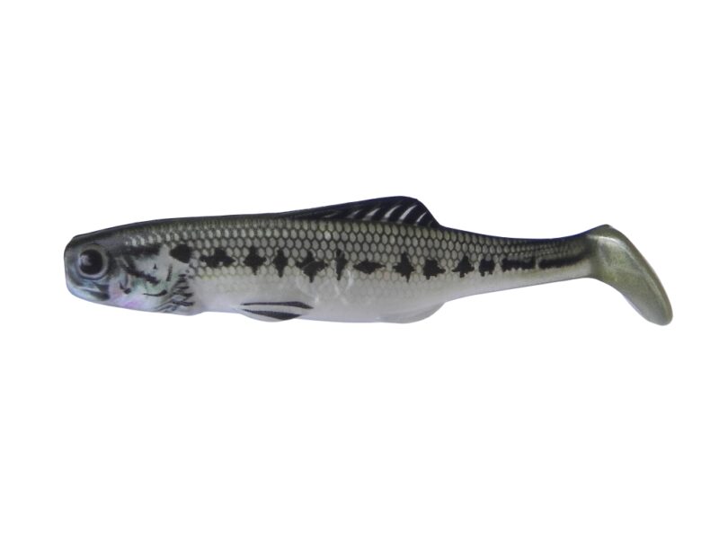 Shad 10 SMB (5 pcs.)