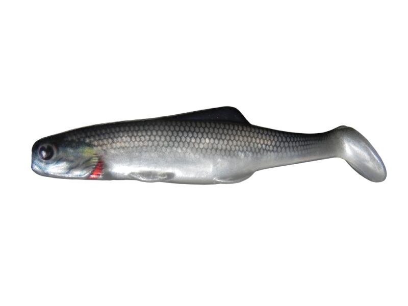 SHAD 10 WB1S (5 pcs.)