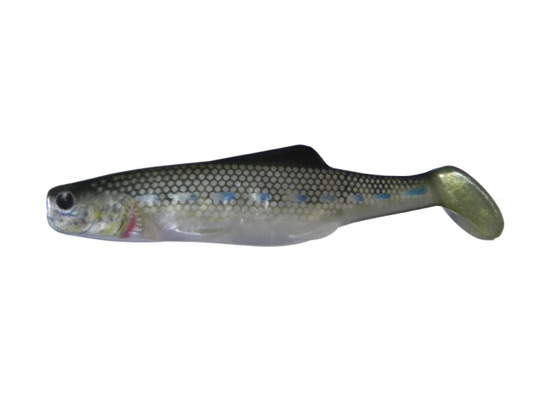 SHAD 10 WBUV (5 pcs.)