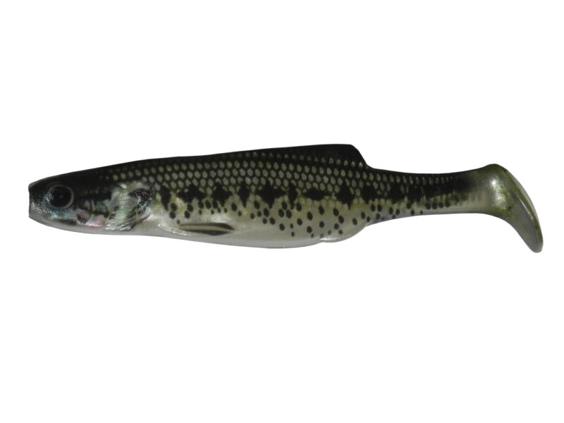 SHAD 12 SMB (5 pcs.)