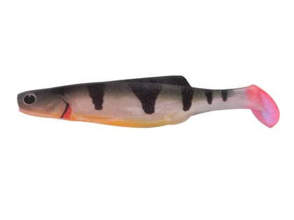 SHAD 12 WP (5 pcs.)