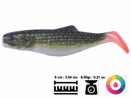 Shad 9 cm.