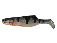 Shad 11 cm.